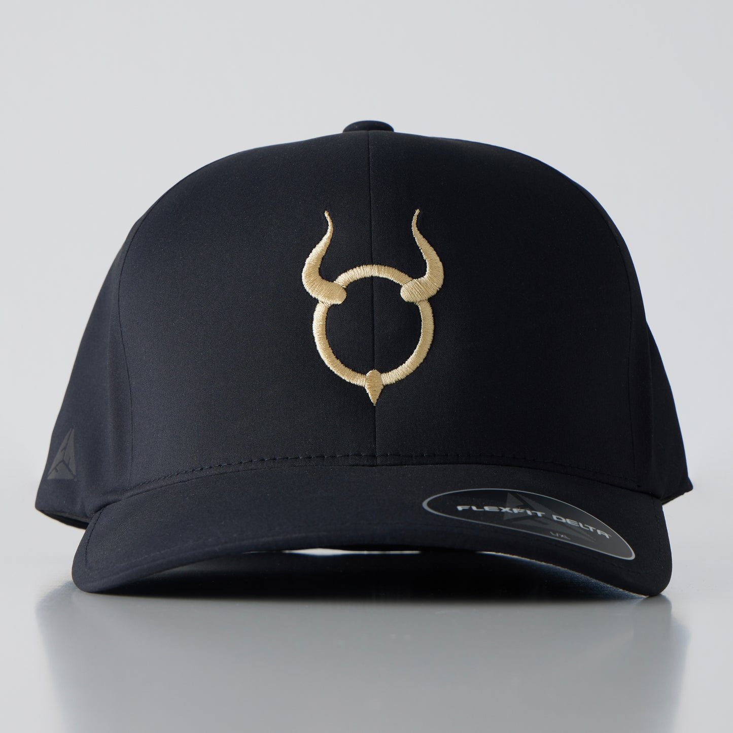 A Sinful Food Flexfit Delta hat/cap.